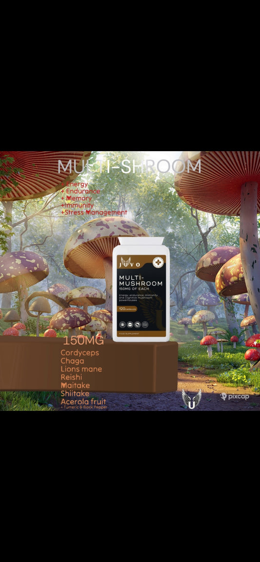 Unlocking the Power of Medicinal Mushrooms: A Natural Boost for Your Health