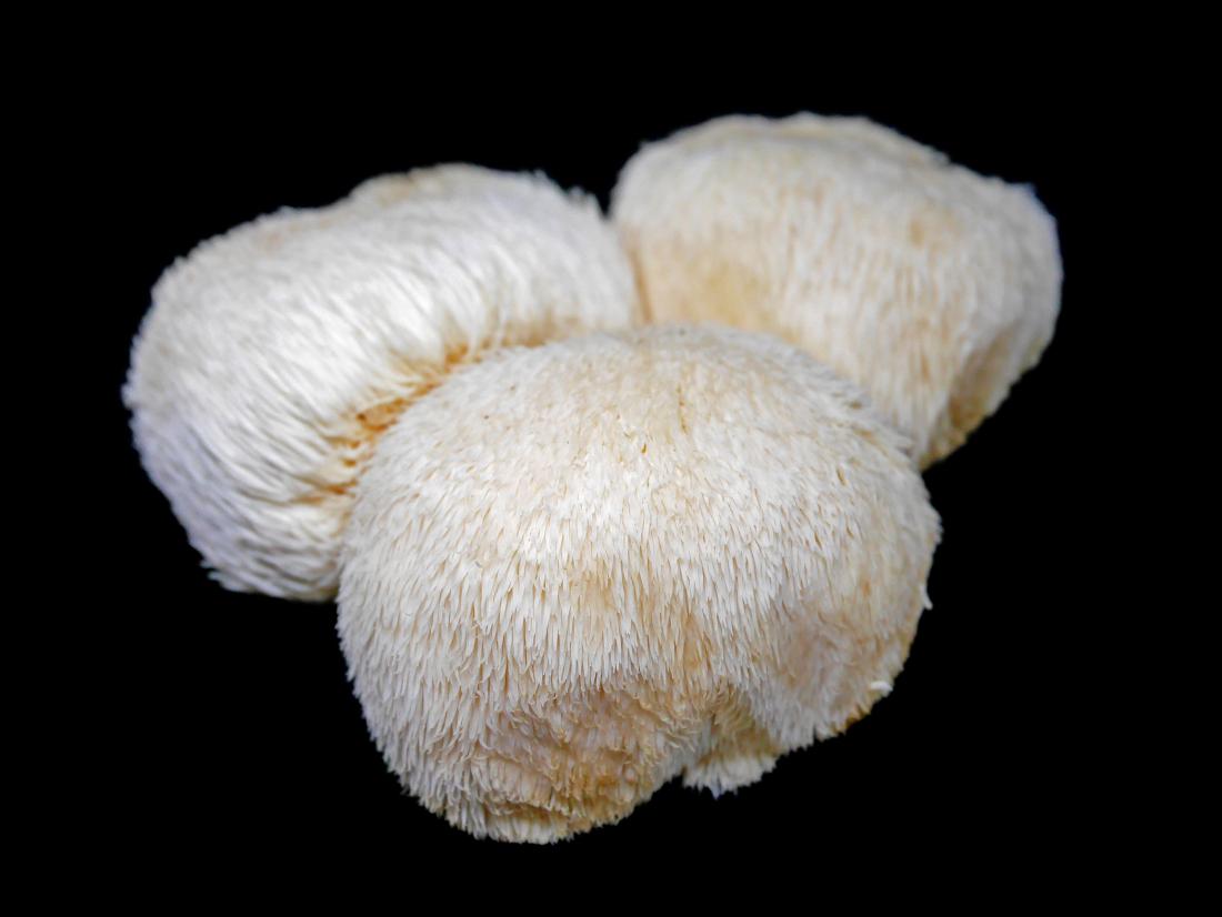 What Does Lions Mane Do?